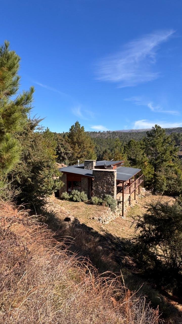 Cabaña de piedra entre pinos